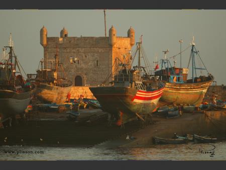 ESSAOUIRA    (Un Charme Discret )